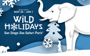 Experience The Holidays with the Animals